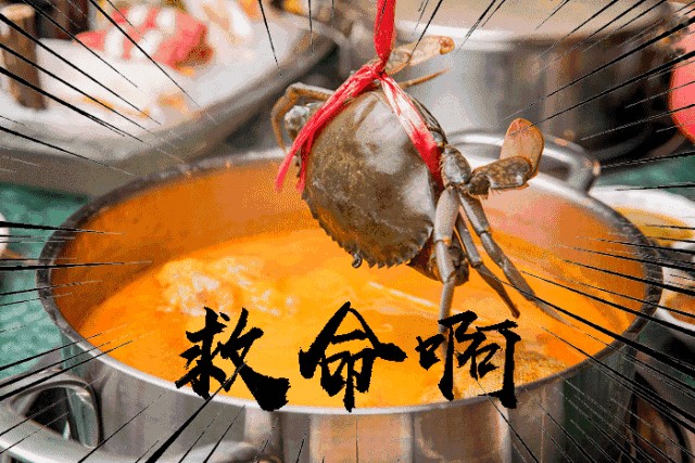 火锅加盟 火锅加盟